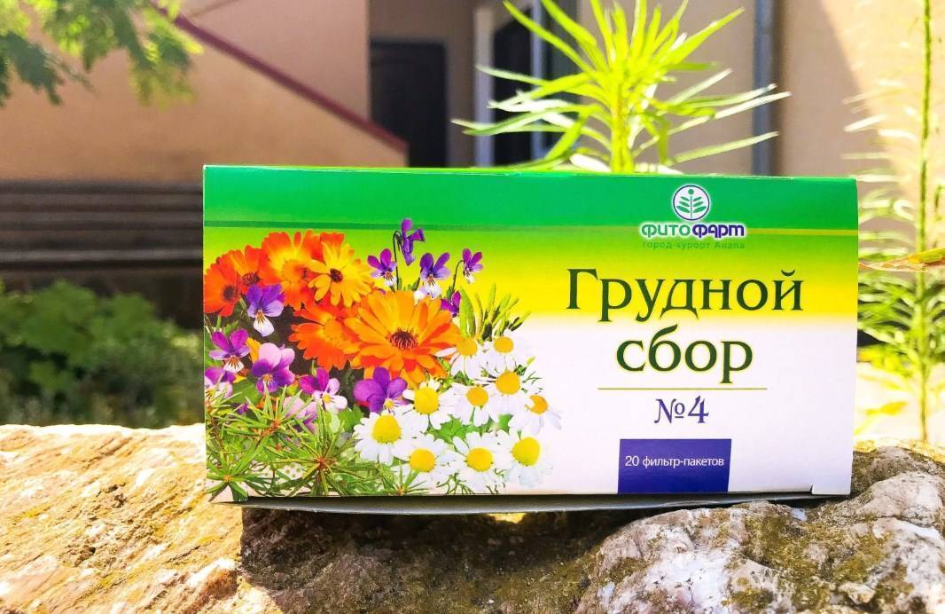 Грудной сбор при беременности: инструкция по применению в 1-3 триместрах и противопоказания