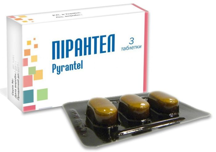 Глисты при беременности: что делать и как лечить беременную женщину, как влияют паразиты на плод?