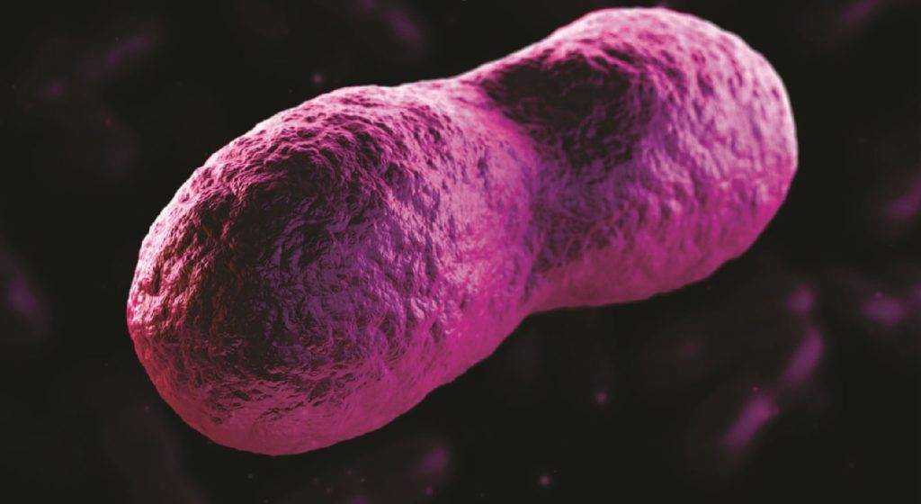 Псевдотуберкулез у детей: симптомы и лечение начальной и последующих стадий