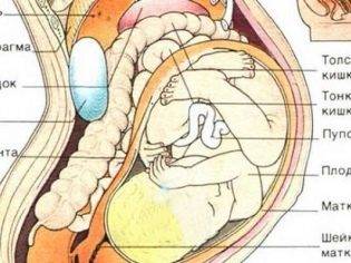 Как понять, что опустился живот перед родами: на какой неделе происходит опущение, когда рожать?