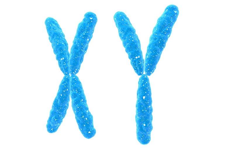 Определение пола плода по крови матери: как узнать половую принадлежность ребенка по тесту ДНК?