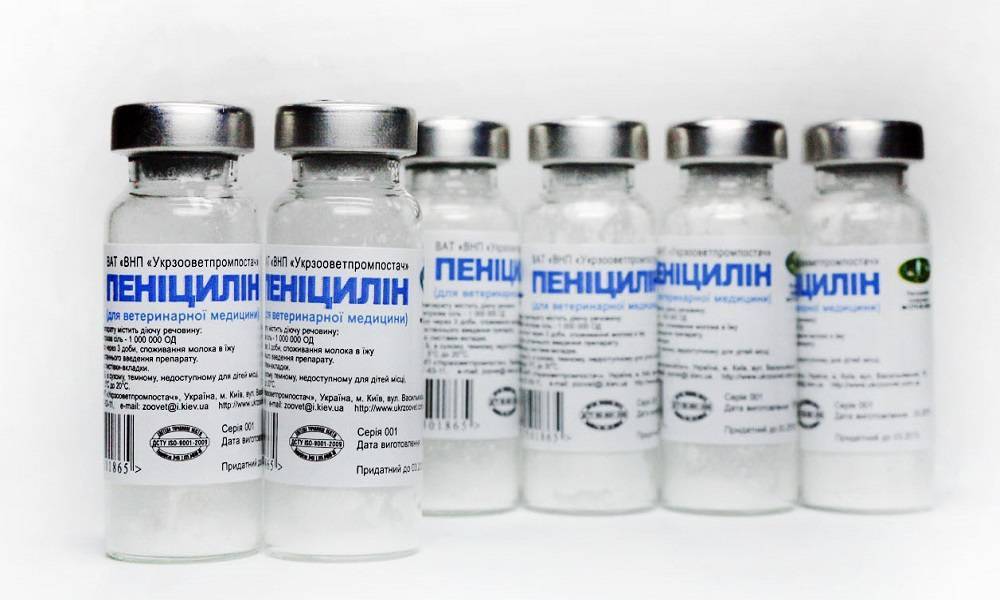 Ангина у грудничка: симптомы и лечение, разновидности заболевания у детей до года