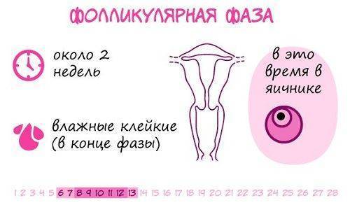 С какого дня считается задержка месячных: как ее правильно рассчитать?