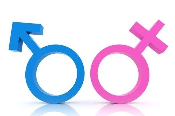 Фото УЗИ мальчика и девочки: различия и общие черты плодов разного пола