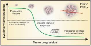 Магнелис В6 и Магний В6: в чем разница, какой из препаратов лучше?