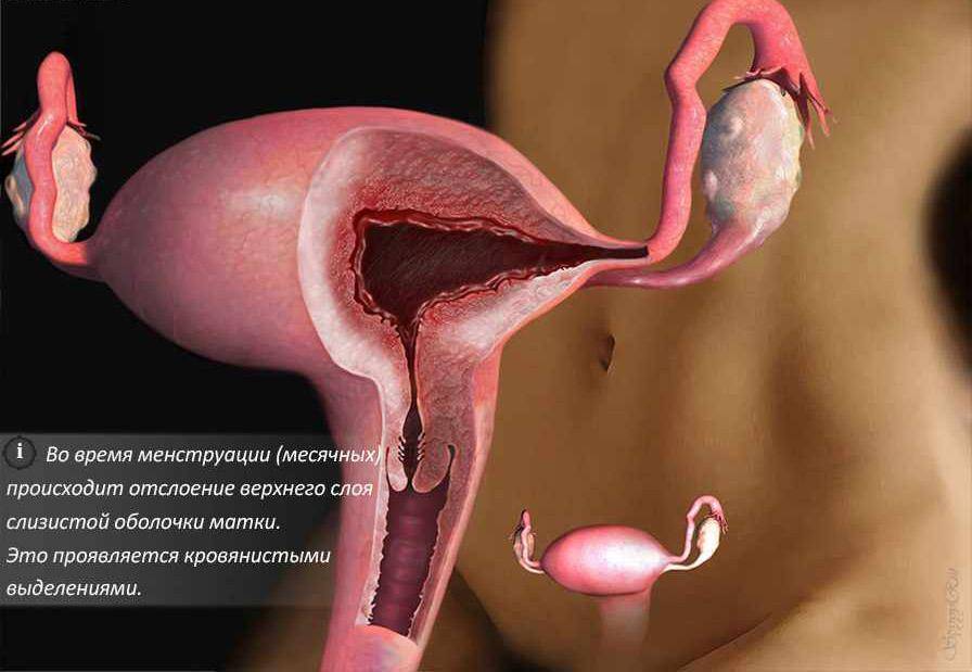 Тест положительный, тянет низ живота и поясницу как при месячных, но есть задержка