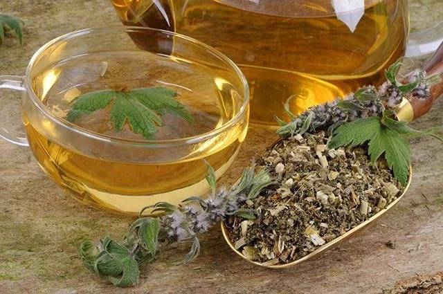 Нервный кашель у ребенка (неврологический, невротический): признаки, лечение