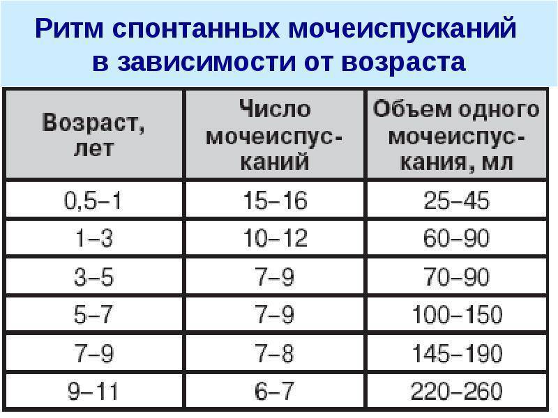 Почему ребенок часто писает, сколько должен мочиться грудничок в норме? | симптомы | vpolozhenii.com