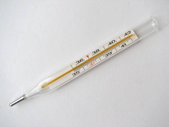 Что делать при белой лихорадке у ребенка: симптомы, неотложная помощь и лечение