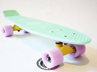 Пенни борд: 10 фото и простые способы научиться кататься