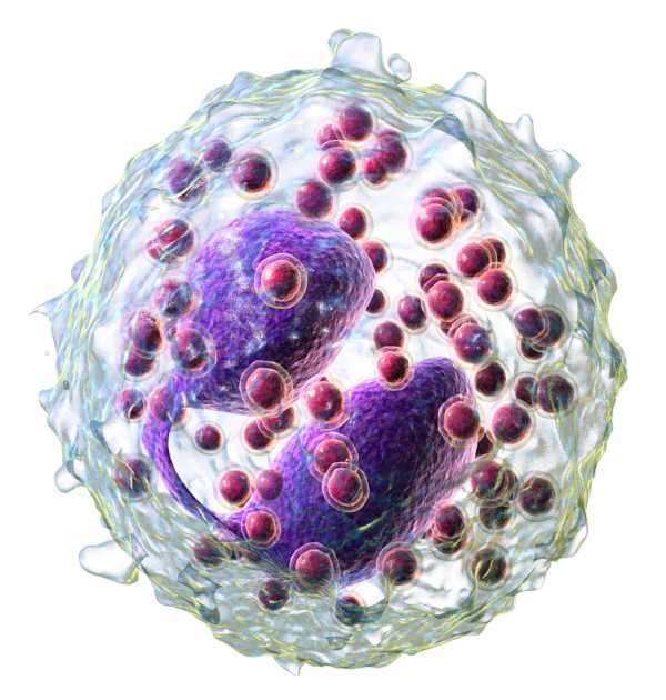 Эозинофилы у ребенка повышены или понижены: нормы крови, причины отклонений