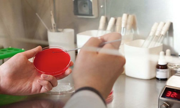 Анализ крови на туберкулез вместо Манту и другие альтернативы проверки реакции для ребенка