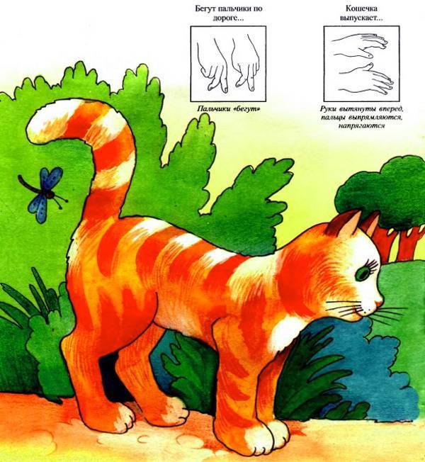 Логопедические упражнения для детей 5-6 лет дома: занятия, игры для развития речи