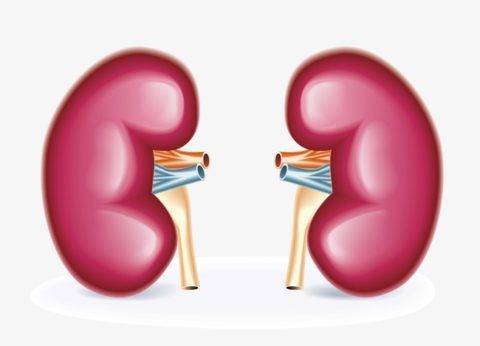 Цветовой показатель крови понижен у ребенка: причины, норма, лечение