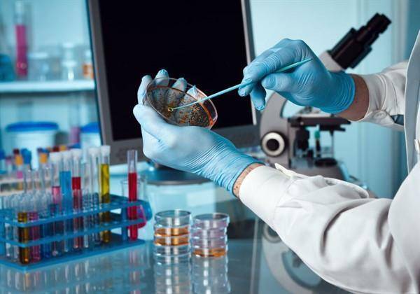 Как правильно подготовиться и сдать анализ крови и кала на лямблии у ребенка?