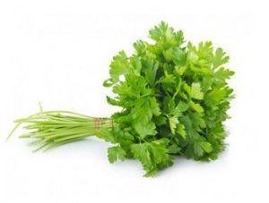 Йод при беременности на ранних и поздних сроках: суточная норма, эффективные препараты