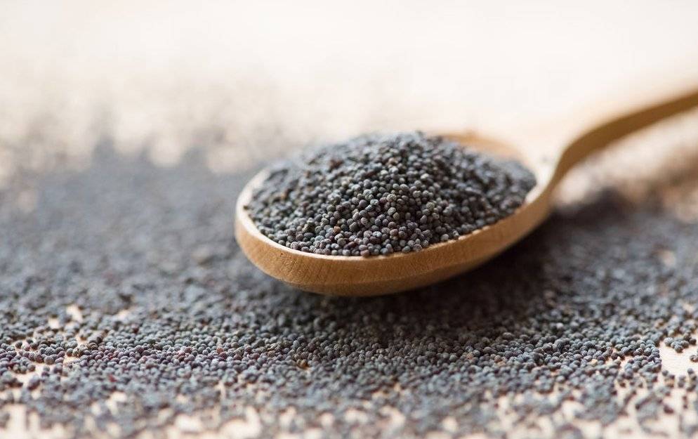 Шоколад при грудном вскармливании ????: можно ли кормящей маме, когда?