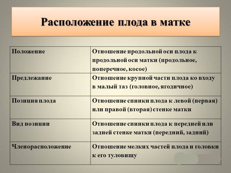 Как лежит ребенок в животе: расположение плода по неделям беременности