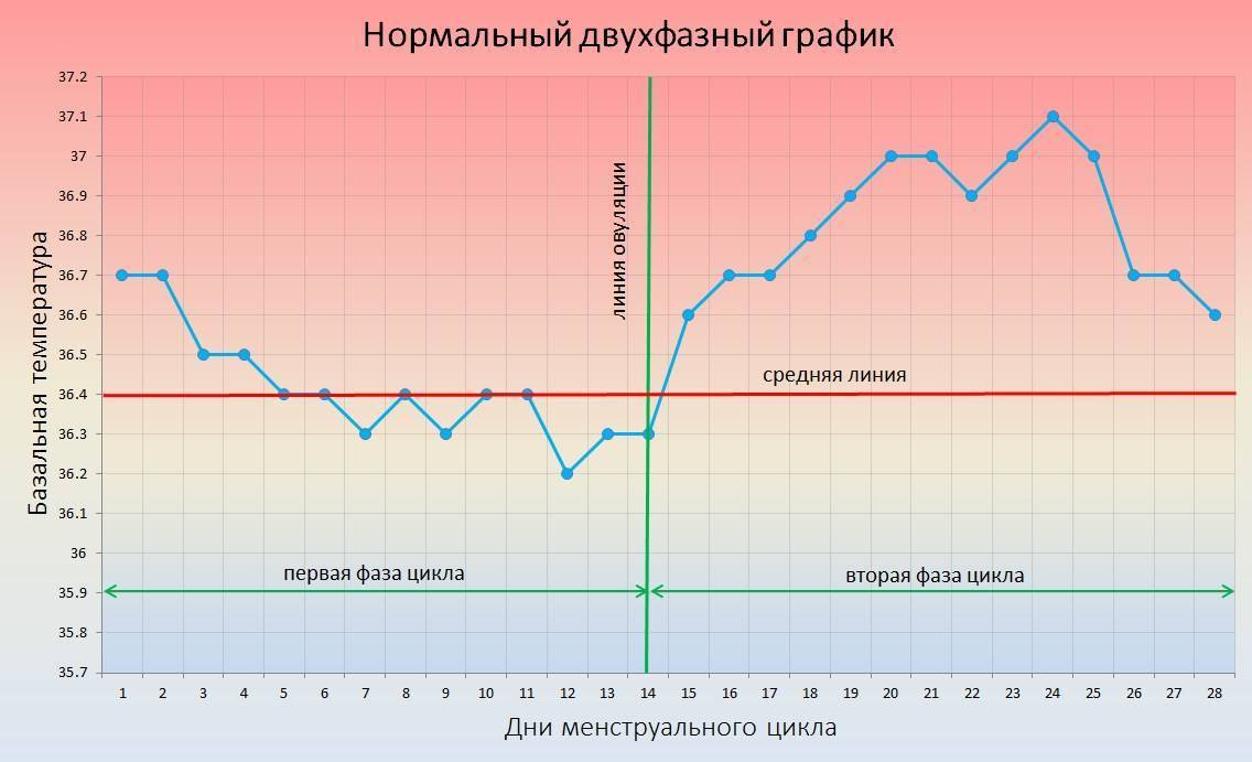 Сколько нужно времени, чтобы забеременеть: рекомендации специалистов