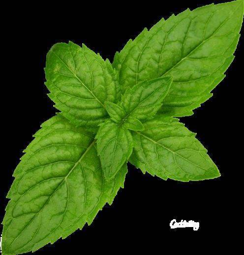 Чем лечить укусы комаров у детей, что делать при опухоли и покраснении, как снять зуд?