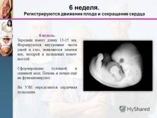 4 неделя беременности от зачатия: что происходит с малышом и мамой, каковы ощущения женщины?