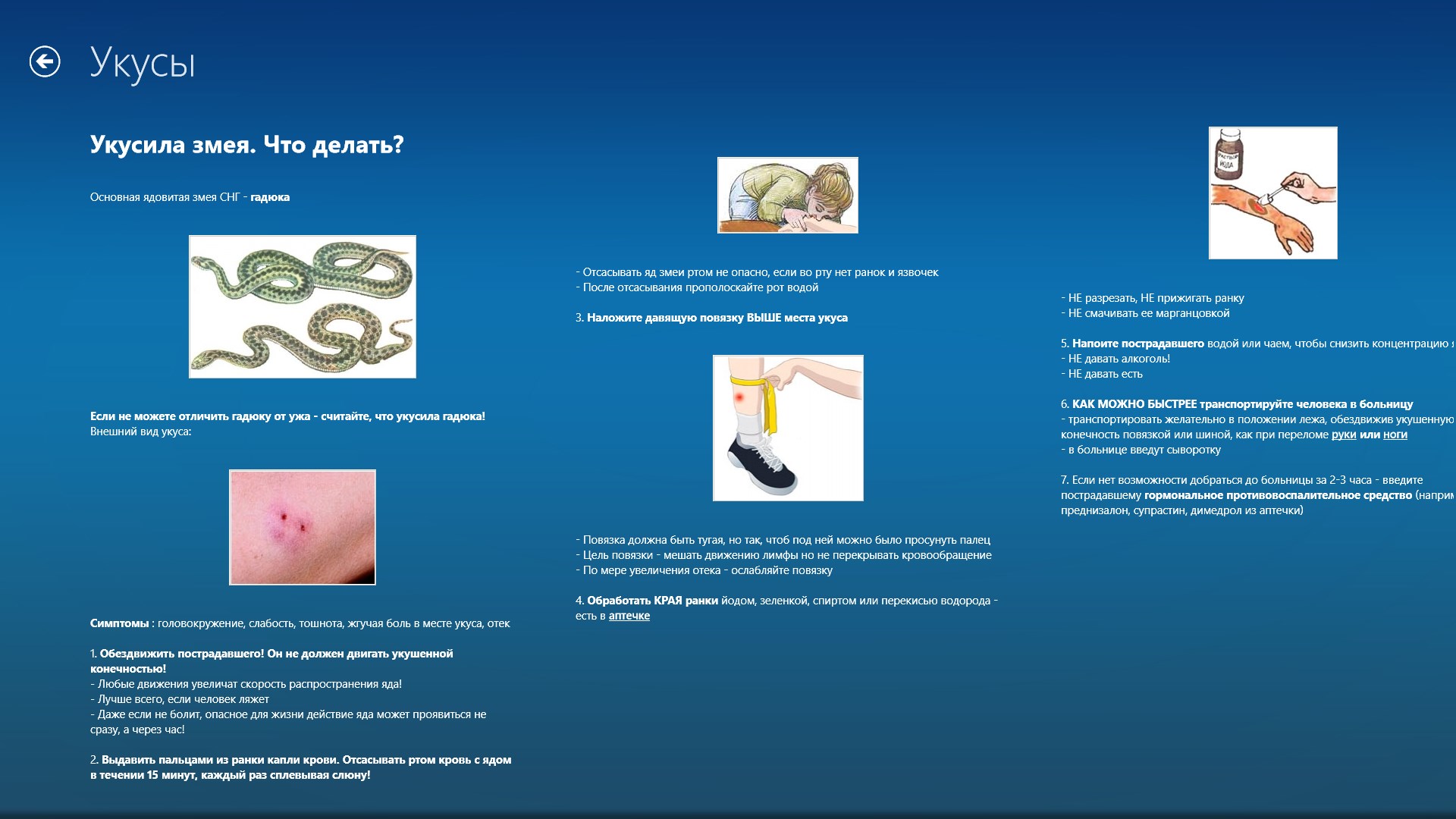 Первая помощь при укусе гадюки: что делать и как спасти пострадавшего