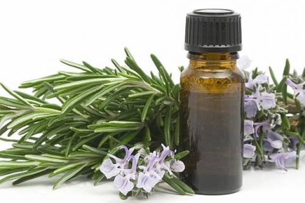 Масло туи при аденоидах, насморке для детей: инструкция по применению