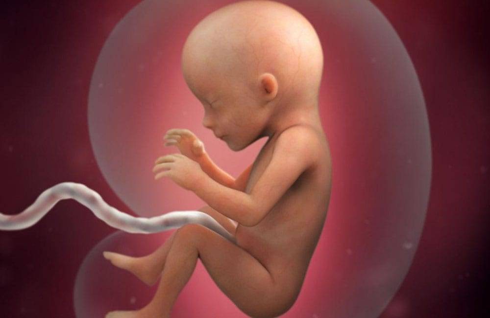 Маточная артерия при беременности: норма по допплерометрии, расшифровка результатов