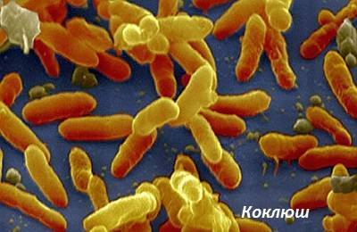 Коклюш у детей: симптомы и лечение (антибиотики, домашние средства), профилактика