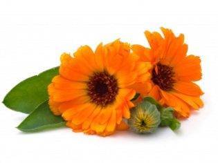 Чем лечить ангину у ребенка в домашних условиях: быстро и без антибиотиков в возрасте от 2 лет