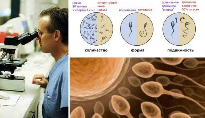 Почему девушка не может забеременеть сразу: причины проблем с зачатием и что делать, чтобы удалось?