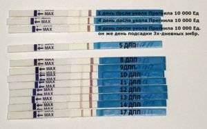 Тест на беременность после переноса эмбриона: на какой день он покажет две полоски?