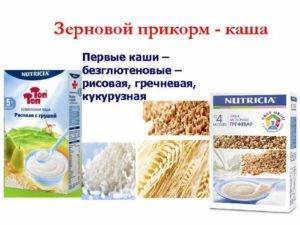 Рейтинг каш для детского прикорма: молочных, безмолочных, готовых, безглютеновых