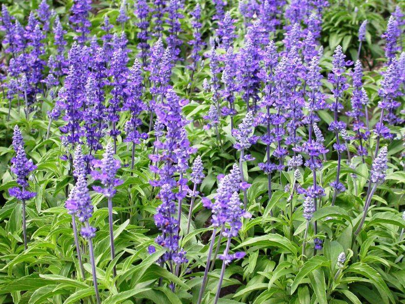 Бесплодие у женщин: как лечить, можно ли избавиться от него, помогут ли народные средства?