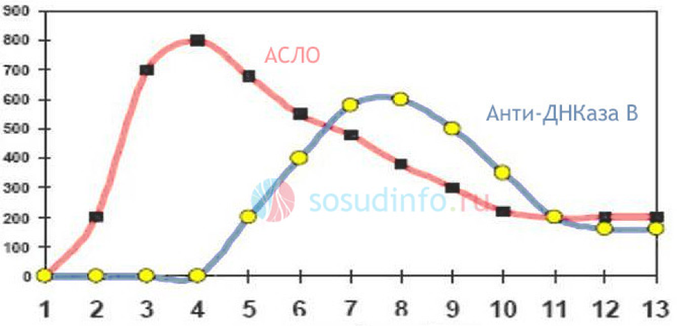 АСЛО в крови: что это такое, норма у детей, расшифровка показателя
