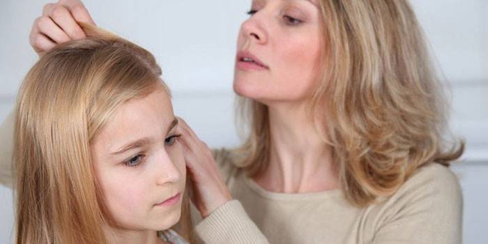 Профилактика педикулеза у детей: шампунь и другие средства от вшей