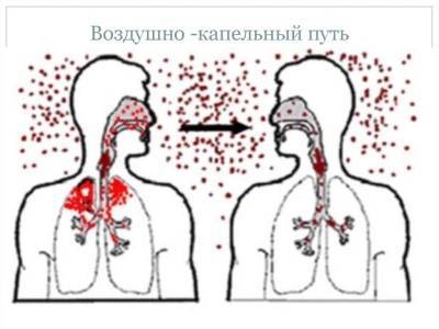 Лакунарная ангина у детей - лечение и симптомы заболевания с фото