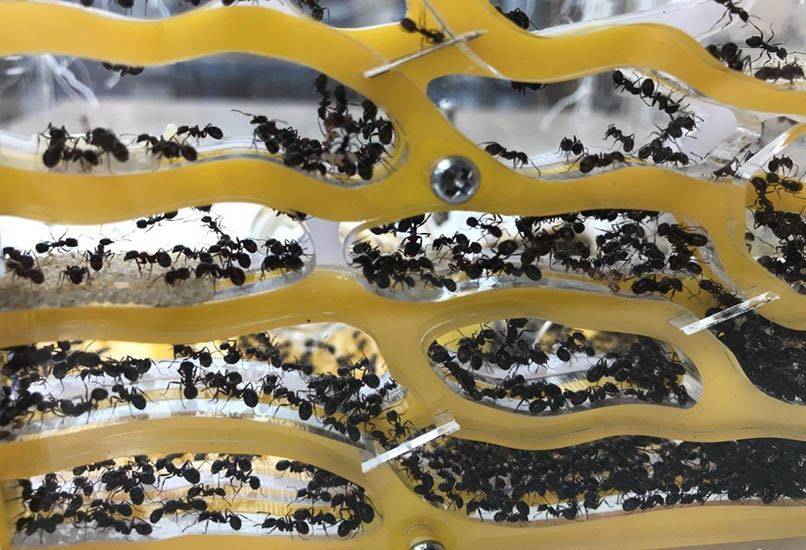 Подарок мальчику на 6 лет: что можно подарить ребенку на день рождения, чтобы он был рад?