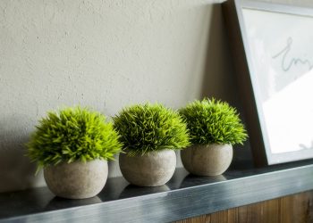 Преимущества использования искусственных растений в интерьере