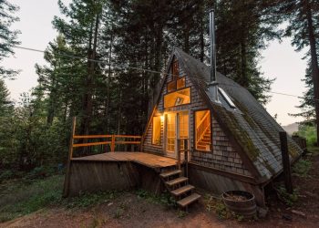 Преимущества Аренды Дома в Лесу: Обретение Спокойствия в Объятиях Природы