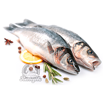 Выбор морского окуня: исчерпывающее руководство