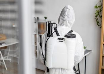 Эффективные методы обработки от постельных клопов