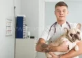 Как выбрать надежного ветеринара