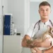 Как выбрать надежного ветеринара