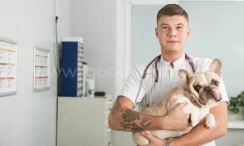 Как выбрать надежного ветеринара