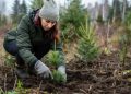 Важность посадки леса для будущего планеты