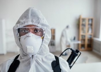 Эффективные методы уничтожения блох: как справиться с надоедливыми паразитами