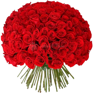 Букет из 101 розы: символ роскоши и особенного признания