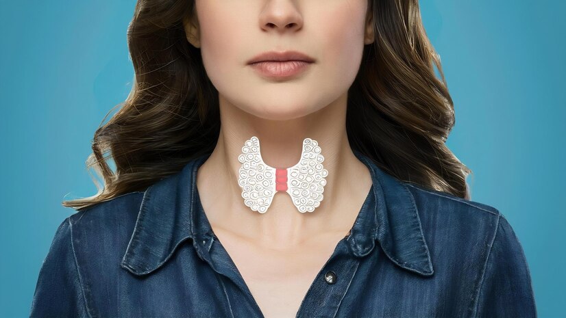 Биопсия щитовидной железы: зачем и как проводится процедура