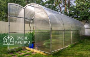 Как выбрать теплицу из поликарбоната